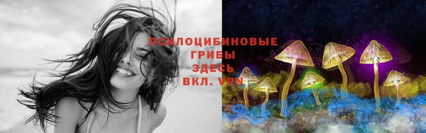 амф Абаза