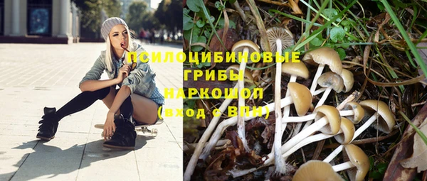 прущая мука Абдулино