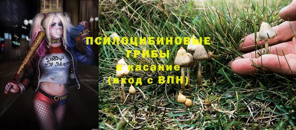 прущая мука Абдулино
