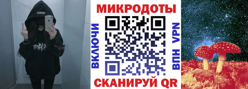 Псилоцибиновые грибы Cubensis Туапсе